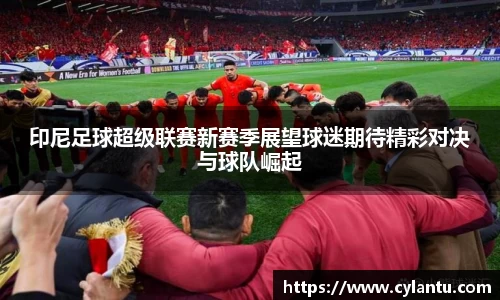 印尼足球超级联赛新赛季展望球迷期待精彩对决与球队崛起