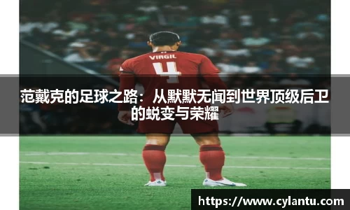 范戴克的足球之路：从默默无闻到世界顶级后卫的蜕变与荣耀